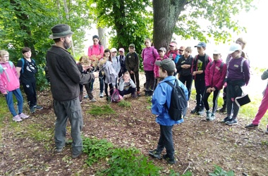Lesní pedagogika
