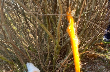 Za betlémským světlem