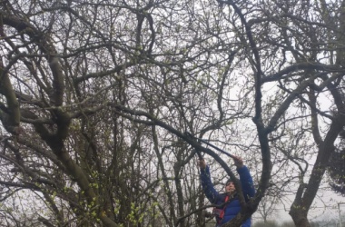 ŽIVÁ ŠKOLNÍ ZAHRADA - Jarní údržba březen 2023