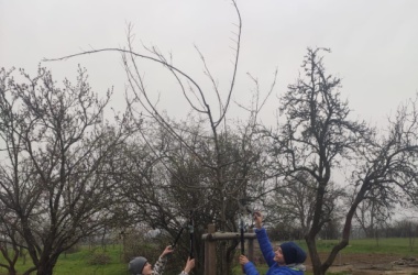 ŽIVÁ ŠKOLNÍ ZAHRADA - Jarní údržba březen 2023