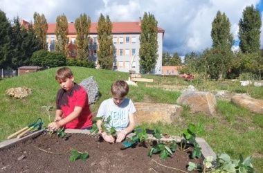Živá školní zahrada - podzimní údržba září 2022