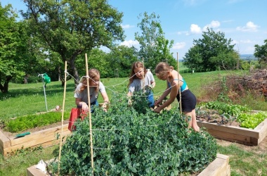 Živá školní zahrada - jarní údržba červen 2022