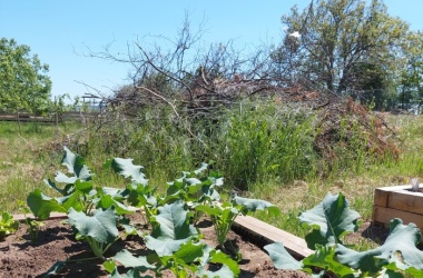 Živá školní zahrada - jarní údržba březen 2022