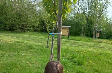 ŽIVÁ ŠKOLNÍ ZAHRADA - Čtenářská dílna