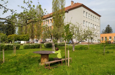 ŽIVÁ ŠKOLNÍ ZAHRADA - Čtenářská dílna