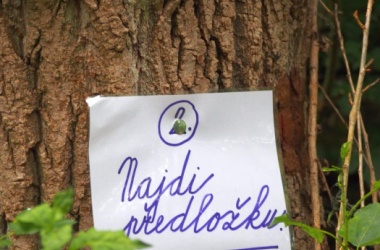 ŽIVÁ ŠKOLNÍ ZAHRADA - Třída 1.B na cestě za pokladem