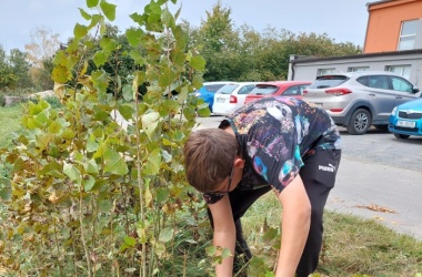 ŽIVÁ ŠKOLNÍ ZAHRADA - Podzimní údržba 2023