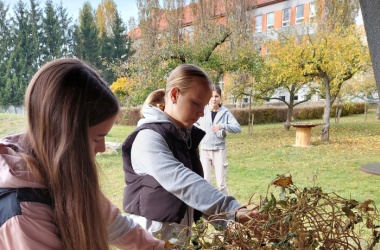 ŽIVÁ ŠKOLNÍ ZAHRADA - Podzimní údržba 2023