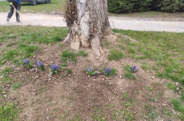 ŽIVÁ ŠKOLNÍ ZAHRADA - Jarní údržba březen 2024