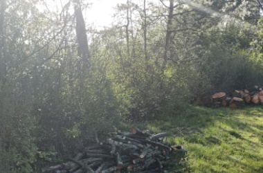 ŽIVÁ ŠKOLNÍ ZAHRADA - Jarní údržba duben 2024