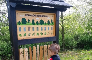 ŽIVÁ ŠKOLNÍ ZAHRADA - Výtvarka prvňáčků venku