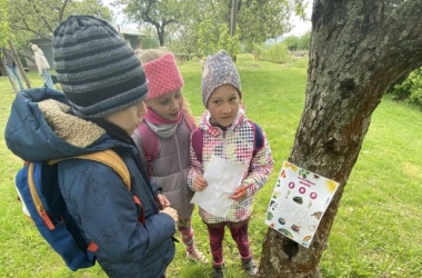 ŽIVÁ ŠKOLNÍ ZAHRADA - V 2.B slavíme Den Země