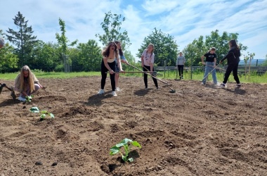 ŽIVÁ ŠKOLNÍ ZAHRADA - Jarní údržba květen 2024