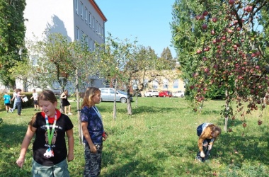 ŽIVÁ ŠKOLNÍ ZAHRADA - Tradiční sběr jablek