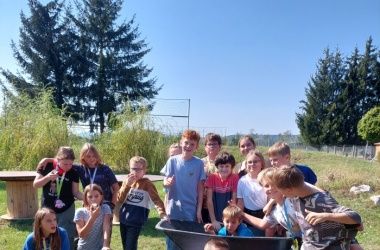 ŽIVÁ ŠKOLNÍ ZAHRADA - Tradiční sběr jablek