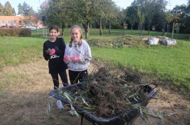 ŽIVÁ ŠKOLNÍ ZAHRADA - Trochu jiné úterý