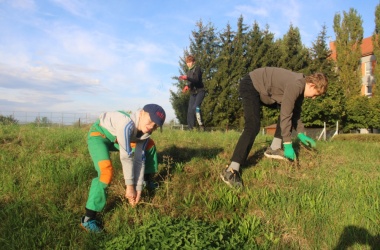 ŽIVÁ ŠKOLNÍ ZAHRADA - Trochu jiné úterý