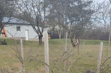 ŽIVÁ ŠKOLNÍ ZAHRADA - Údržba zahrady leden a únor 2025