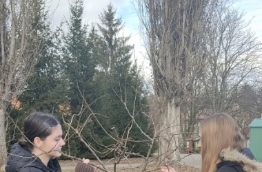 ŽIVÁ ŠKOLNÍ ZAHRADA - Údržba zahrady leden a únor 2025