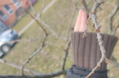 ŽIVÁ ŠKOLNÍ ZAHRADA - Údržba zahrady leden a únor 2025