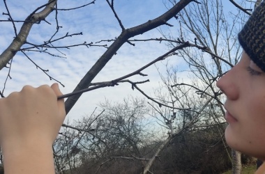 ŽIVÁ ŠKOLNÍ ZAHRADA - Údržba zahrady leden a únor 2025