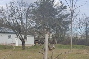 ŽIVÁ ŠKOLNÍ ZAHRADA - Údržba zahrady leden a únor 2025