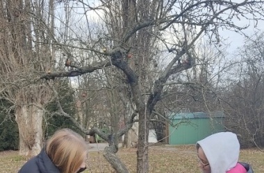 ŽIVÁ ŠKOLNÍ ZAHRADA - Údržba zahrady leden a únor 2025