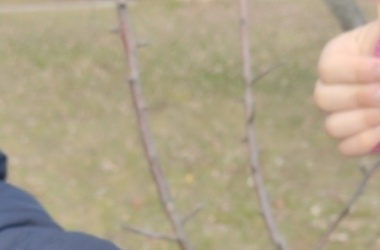 ŽIVÁ ŠKOLNÍ ZAHRADA - Údržba zahrady leden a únor 2025