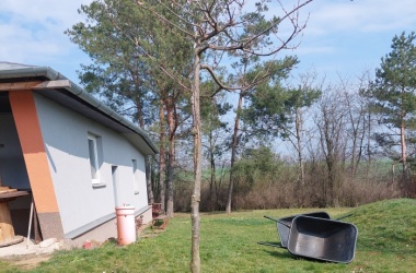 ŽIVÁ ŠKOLNÍ ZAHRADA - Údržba zahrady březen 2025