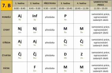 Informace k distanční výuce